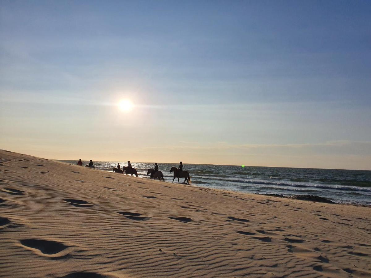 Beachhouse Renesse 2645 Екстер'єр фото